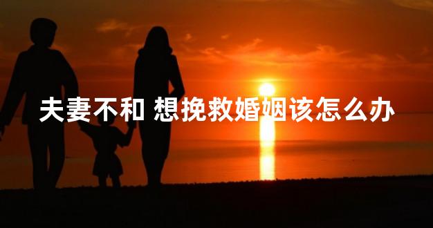 夫妻不和 想挽救婚姻该怎么办